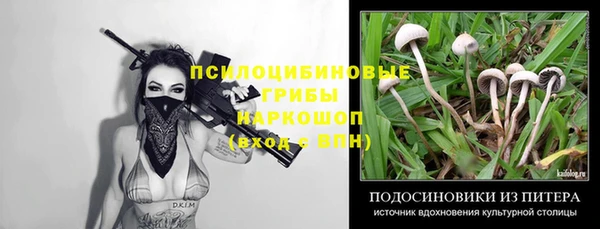 герыч Дмитровск