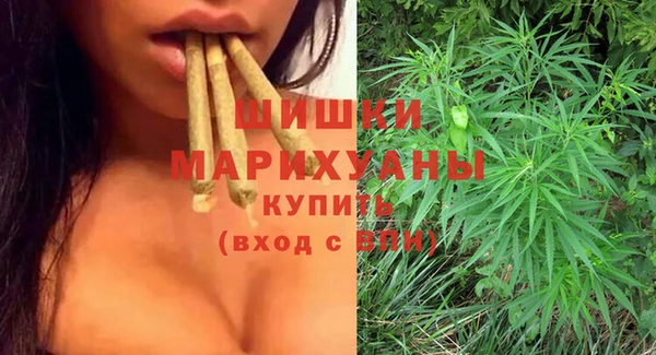 крисы Дмитров
