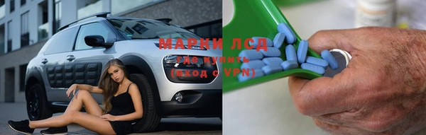 крисы Дмитров