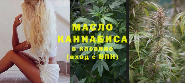 крисы Дмитров