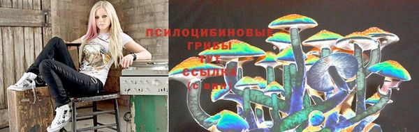 соль курить ск Дмитриев