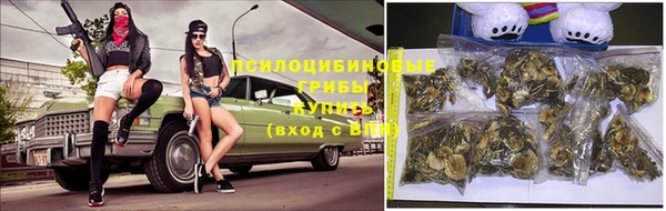 соль курить ск Дмитриев