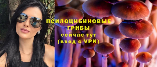 герыч Дмитровск