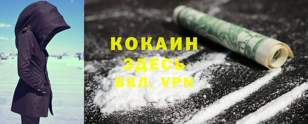 крисы Дмитров