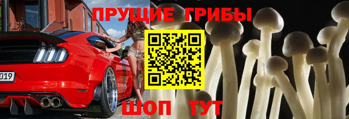 Псилоцибиновые грибы Psilocybe  Вход с VPN  Псилоцибиновые грибы Cubensis  Бийск 